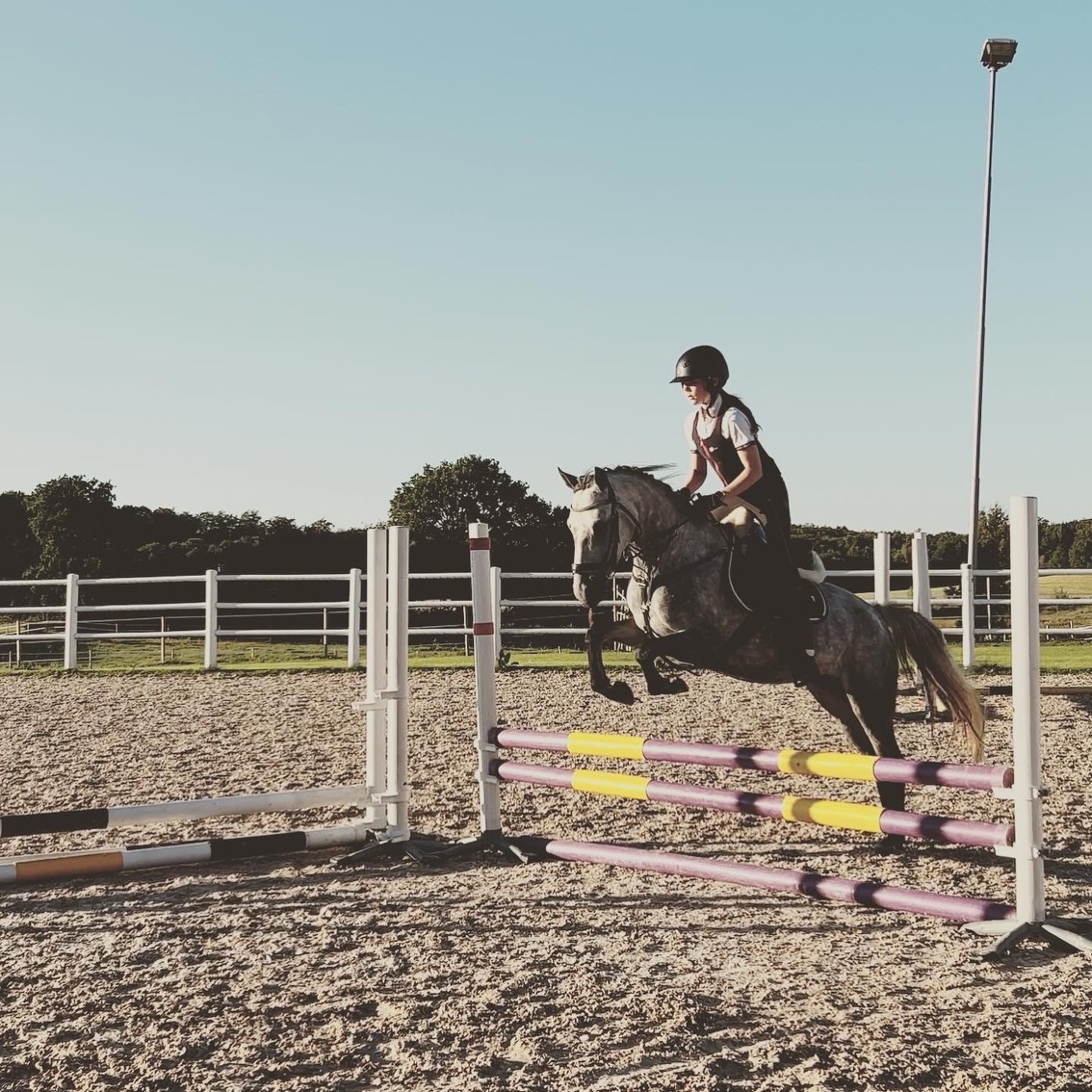 Huaröds Hästförening Vemrike