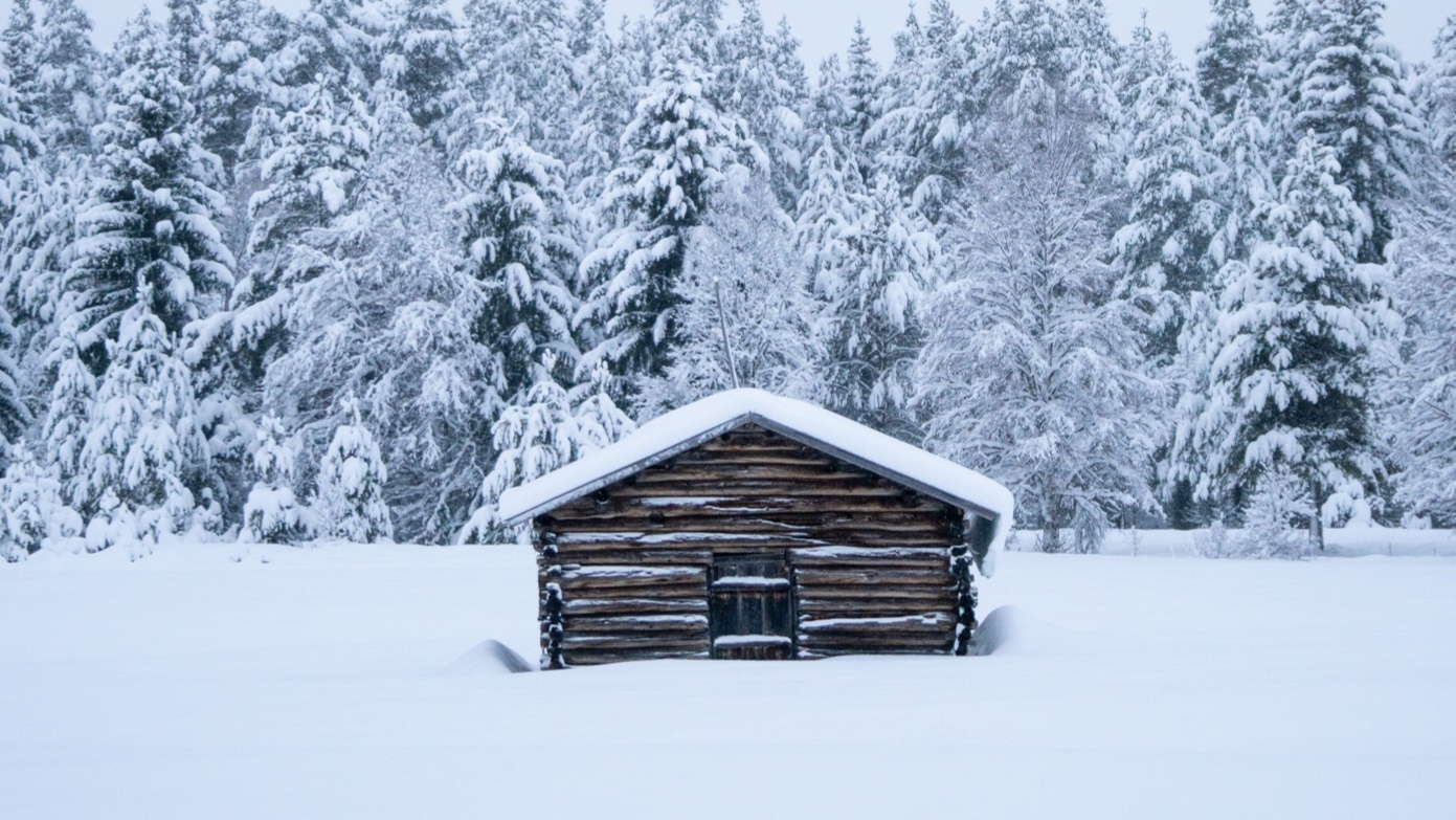 Vemrike i Vemdalen industritomt